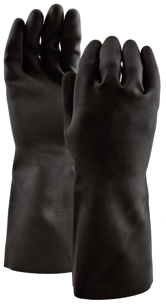 watson latex gloves